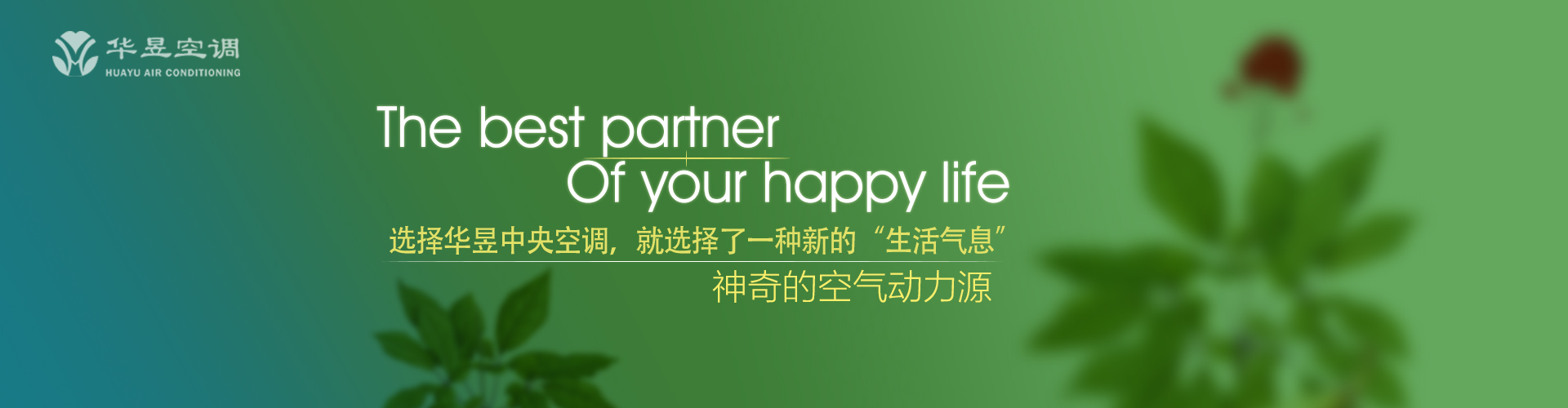 骇龙走蛇网